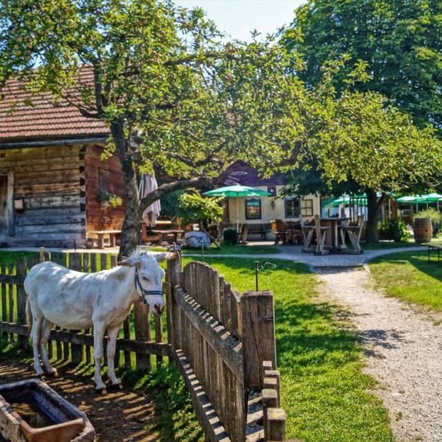 Urlaub am Bauernhof