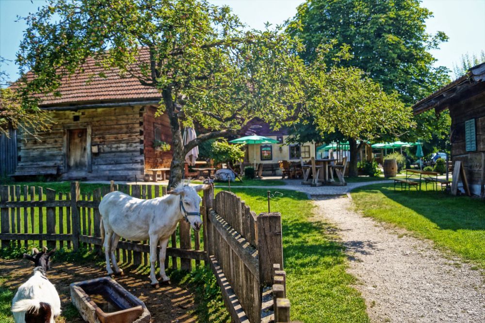 Urlaub am Bauernhof