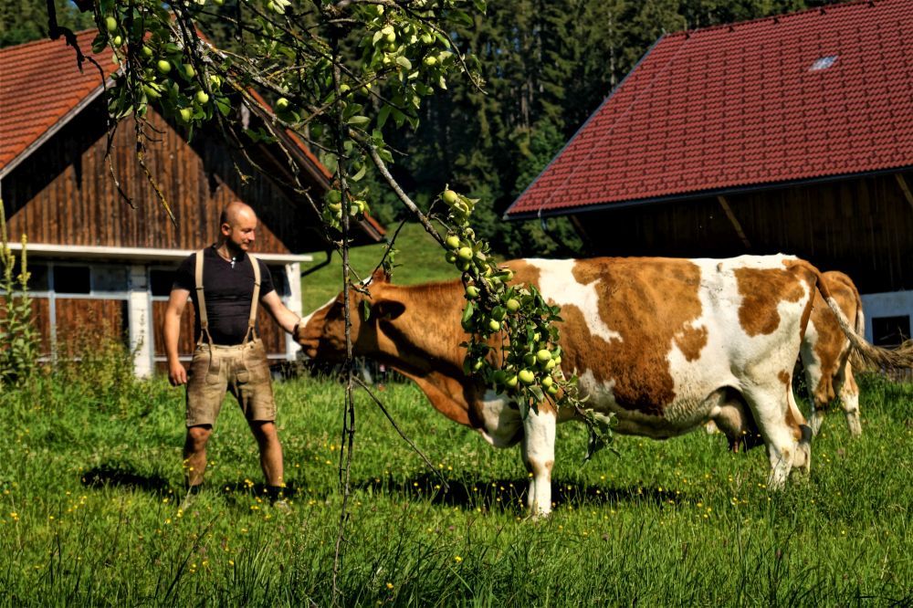 Urlaub am Bauernhof